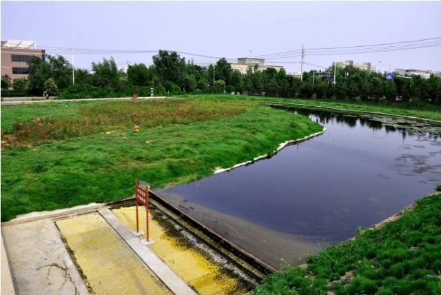 技术解析 | 人工湿地脱氮除磷技术方法