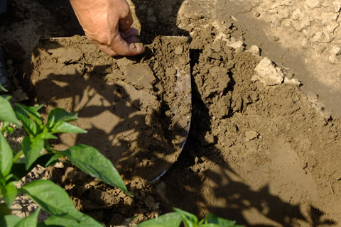 土壤检测前的质量控制